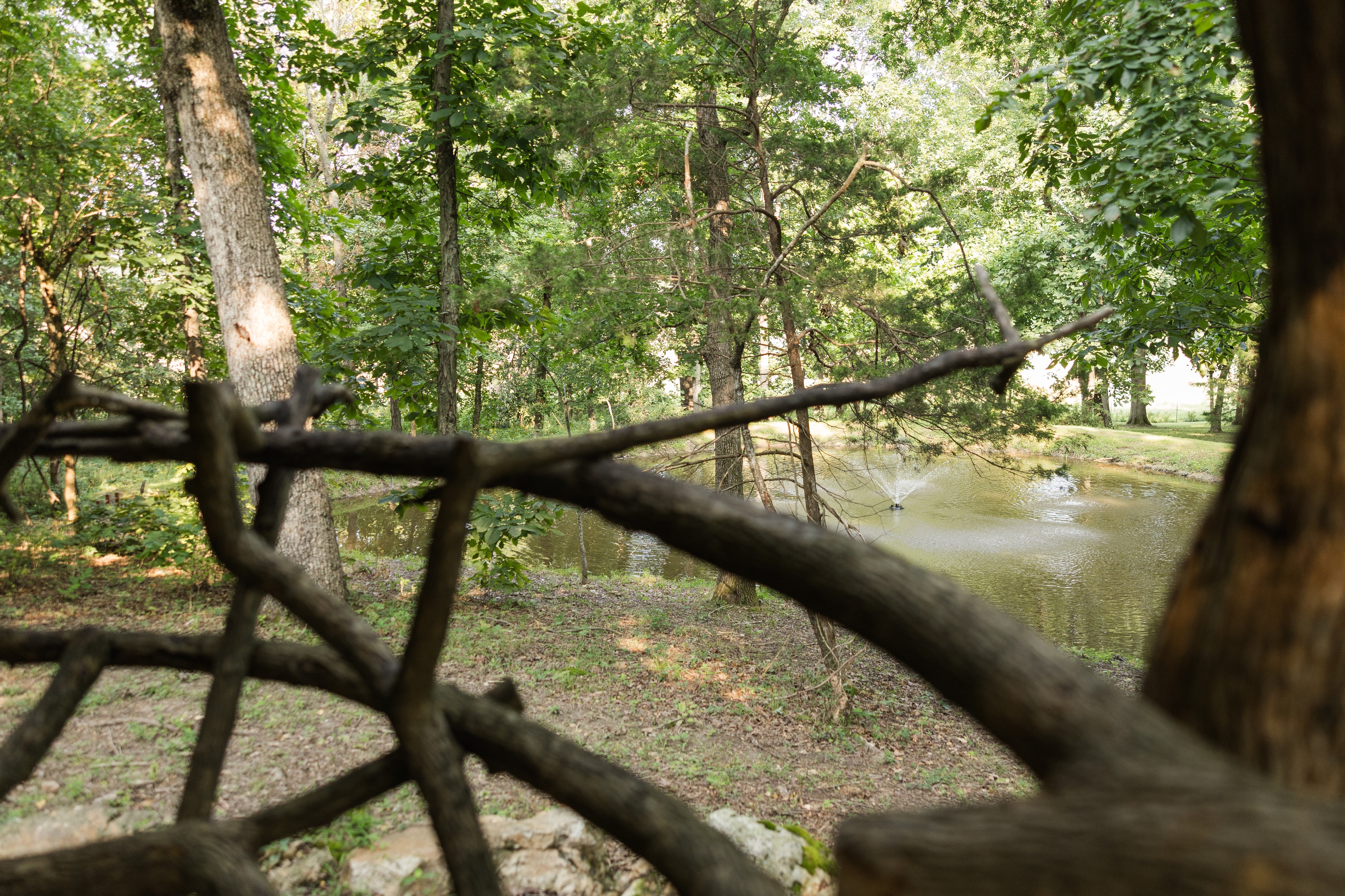 Peaceful river view from the property at dawn