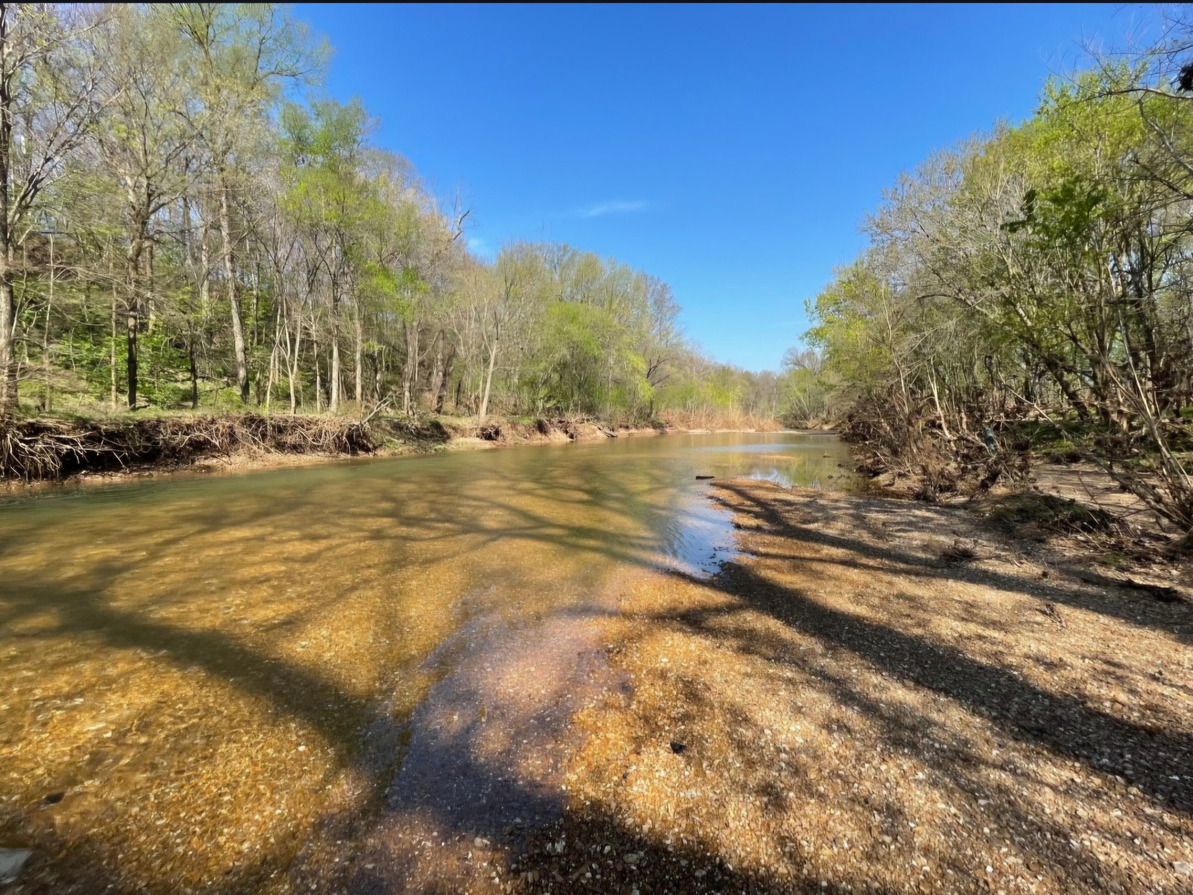 The Pomme de Terre River at the edge of the property