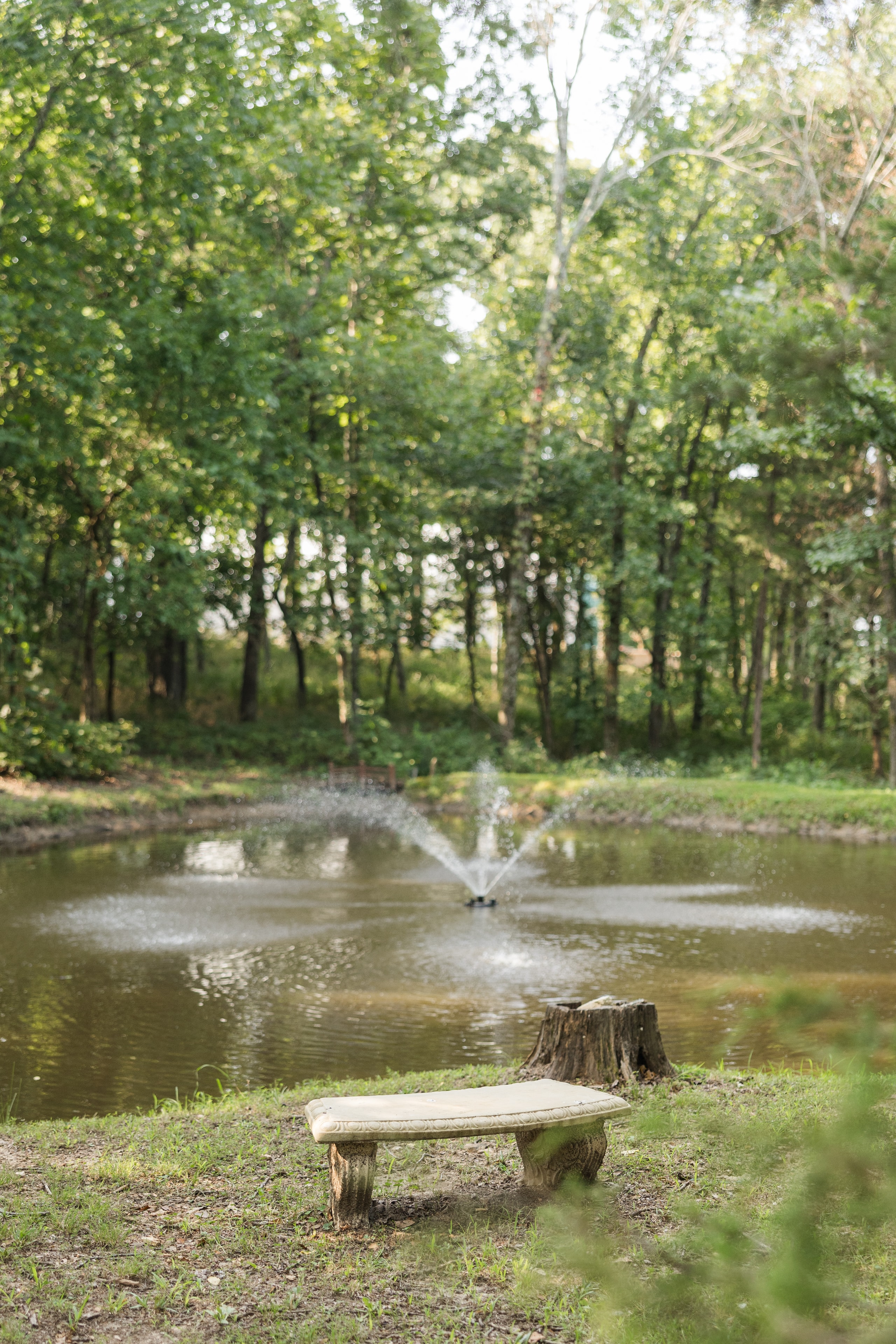 Secluded Sanctuary