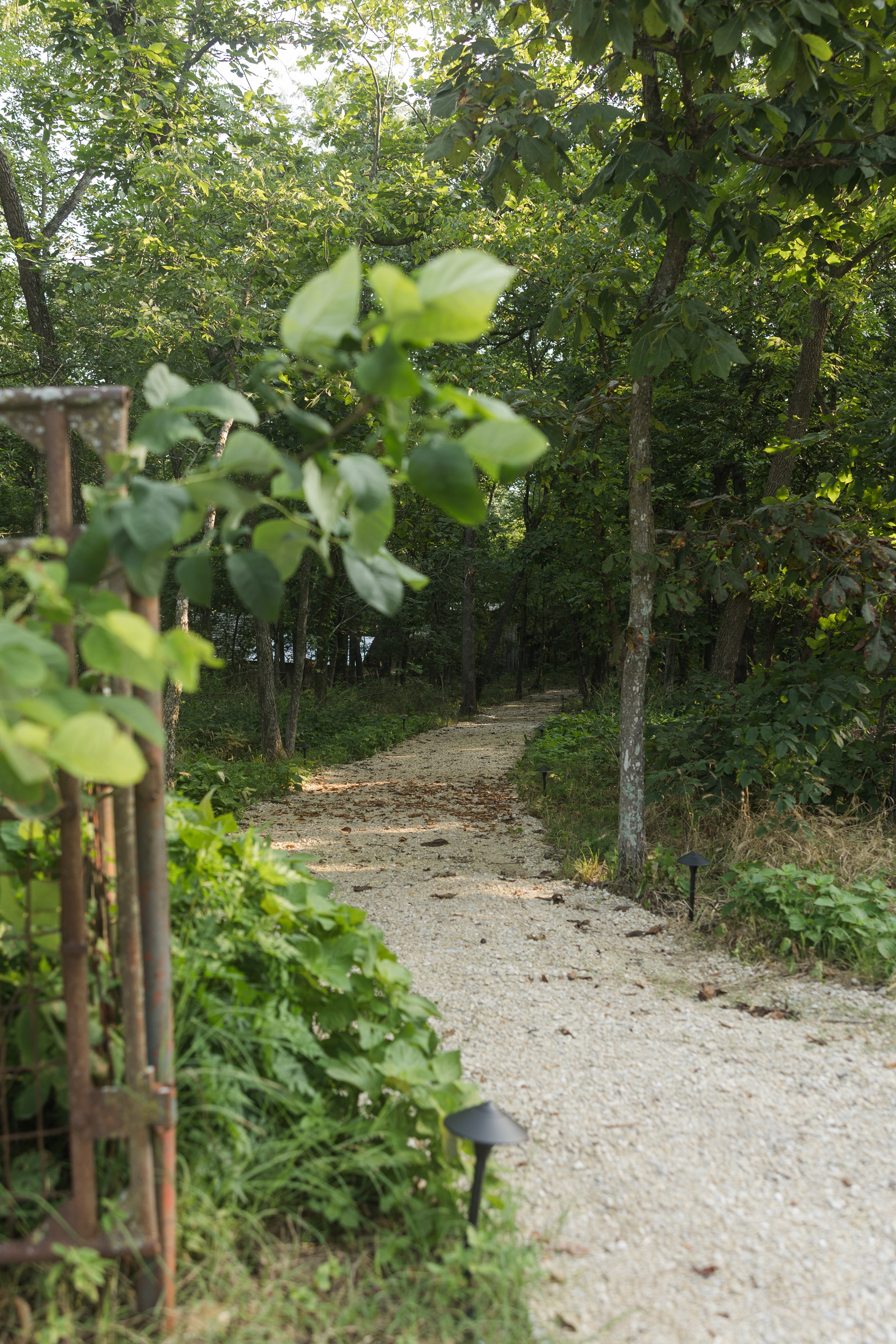 Tree-lined gravel walkway leading through the cabin property